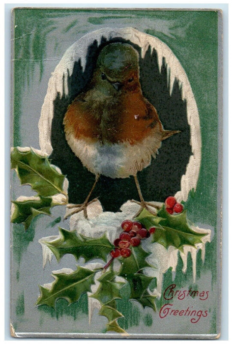 1907 Christmas Greetings Bird Holly Berries Winsch Back Brantford CA Postcard