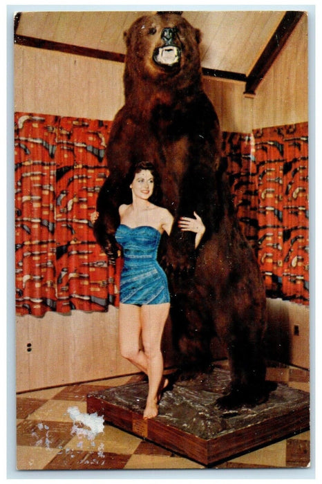 Giant Kodiak Bear Taken By WM Hollinger Kodiak Island Alaska AK Vintage Postcard
