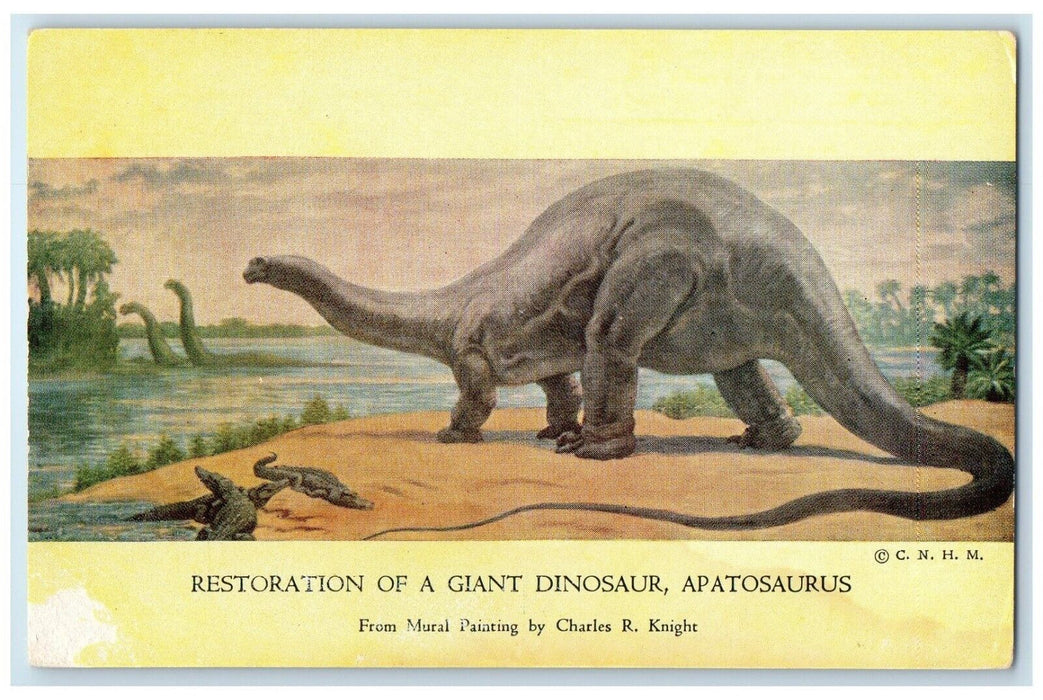 Restoration Giant Dinosaur Apatosaurus Chicago Natural History Museum Postcard