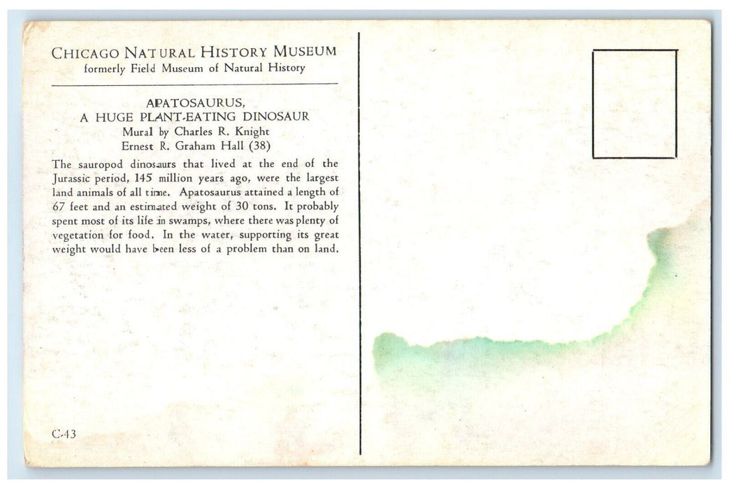 Restoration Giant Dinosaur Apatosaurus Chicago Natural History Museum Postcard