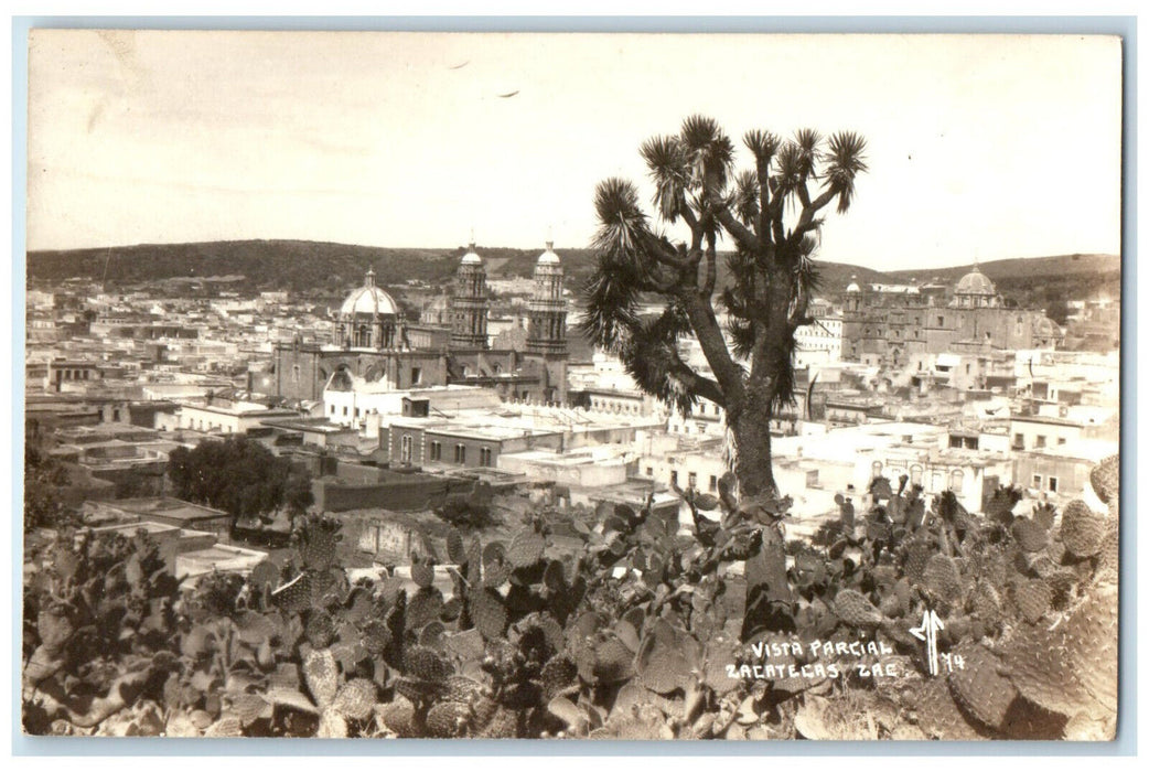 c1940's Cactus Growing Partial View of Zacatecas Mexico RPPC Photo Postcard