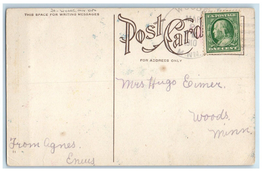 1910 Woods Minnesota MN DPO Doane Cancel Good Luck Pretty Woman Flowers Postcard
