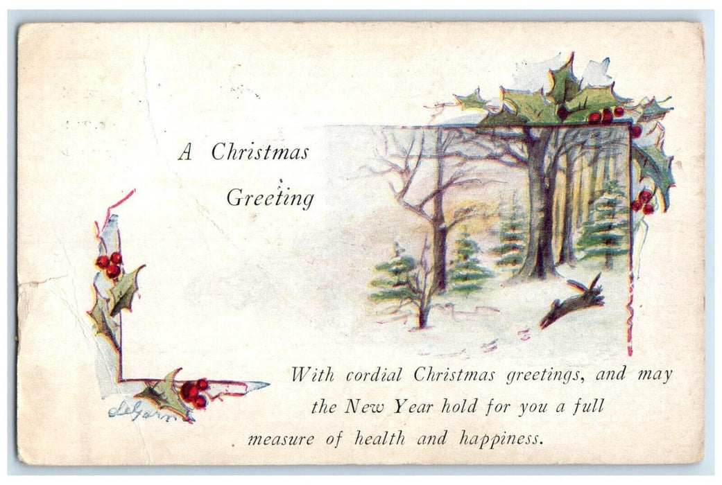 1920 Carlisle Minnesota MN Hapen North Dakota ND Doane Cancel Christmas Postcard