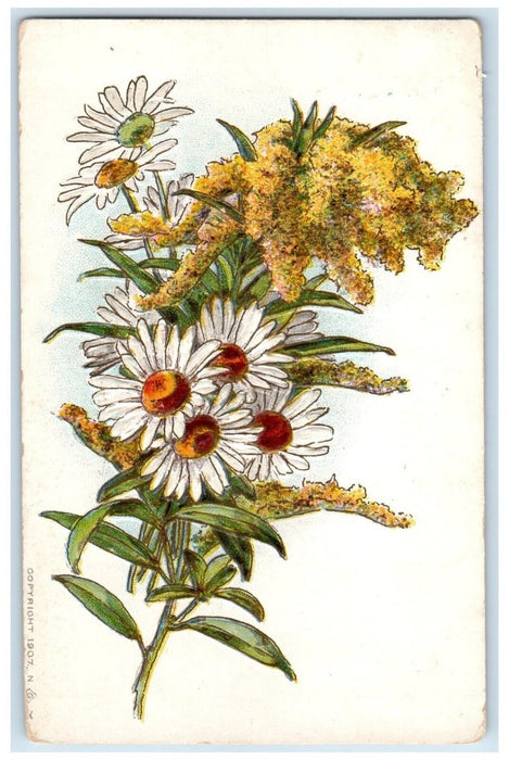 1908 Round Lake Minnesota MN To Butte DPO 1895-1905 Doane Cancel Postcard