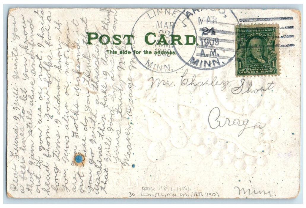 1909 Linnell Minnesota MN DPO 1883-1912 Arago 1897-1955 Doane Cancel Postcard
