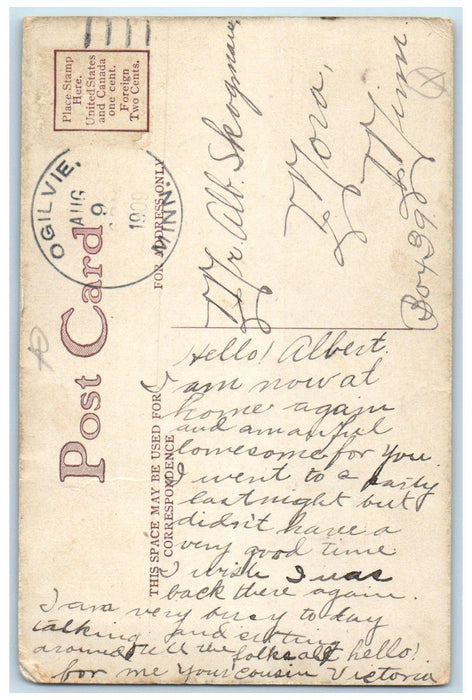 1909 Ogilvie Minnesota MN To Mora Doane Cancel Pink Flowers Postcard