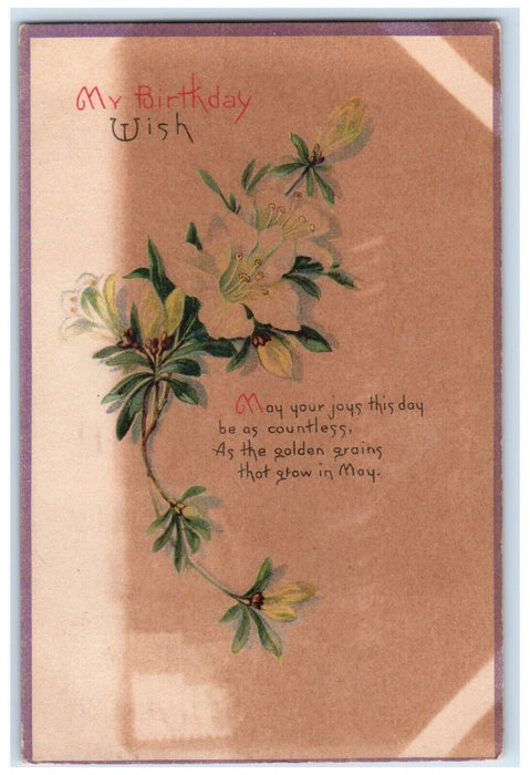 1920 Birthday White Flowers Tied Christmas Seal Laclede Missouri MO Postcard