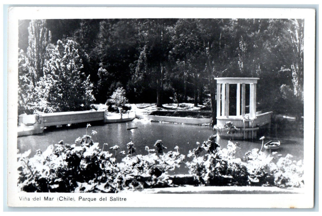 c1940's Parque Del Salitre Vina Del Mar Chile Vintage RPPC Photo Postcard