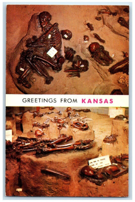 c1960 Indian Burials Pit Archeological Highway Salina Kansas KS Vintage Postcard