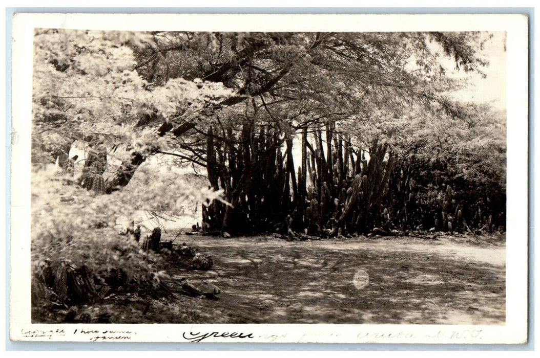 1942 Trees View Greetings from Aruba DWI Posted RPPC Photo Postcard