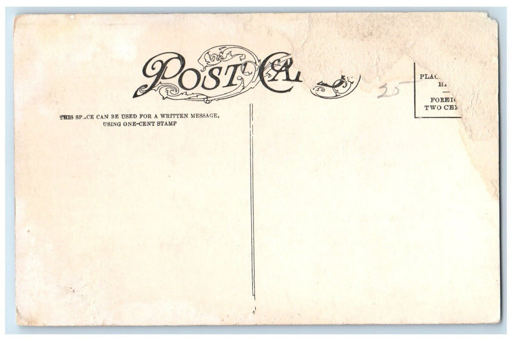 c1910's Birds Eye View Of Denver From D & F Tower Colorado CO Antique Postcard