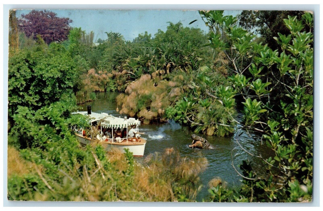 1964 Jungle Cruise Adventure Lurks Winding Rivers Disneyland California Postcard