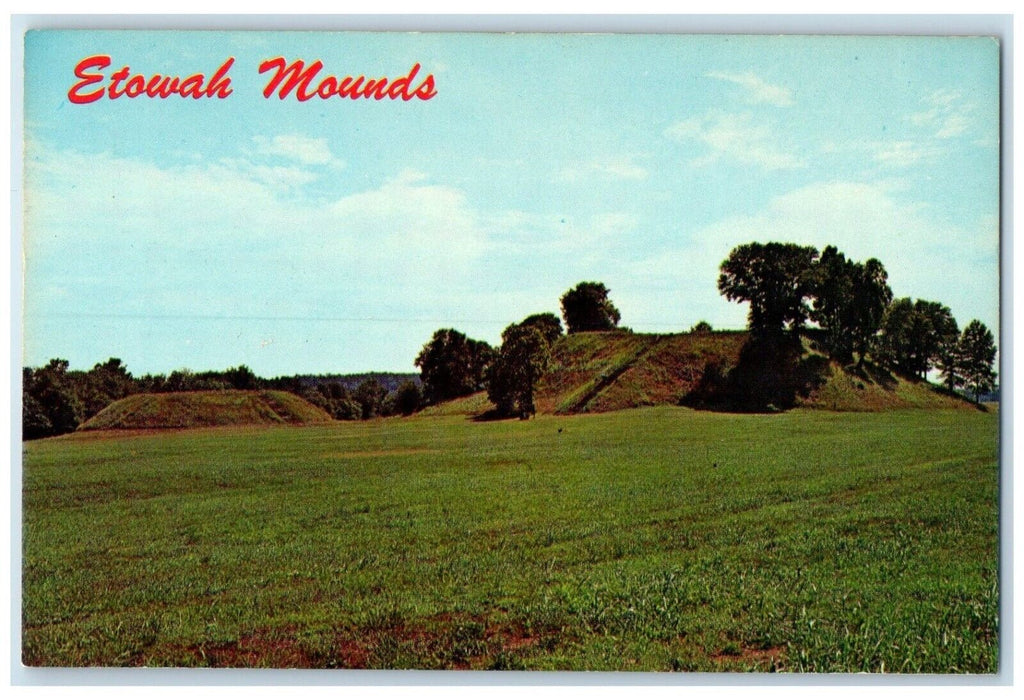 1960 Etowah Indian Mounds Cartersville Georgia Vintage Antique Unposted Postcard