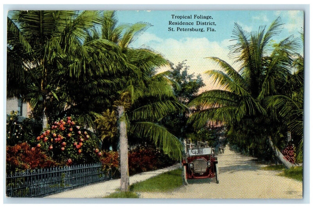 c1910 Tropical Foliage Residence District Street St. Petersburg Florida Postcard