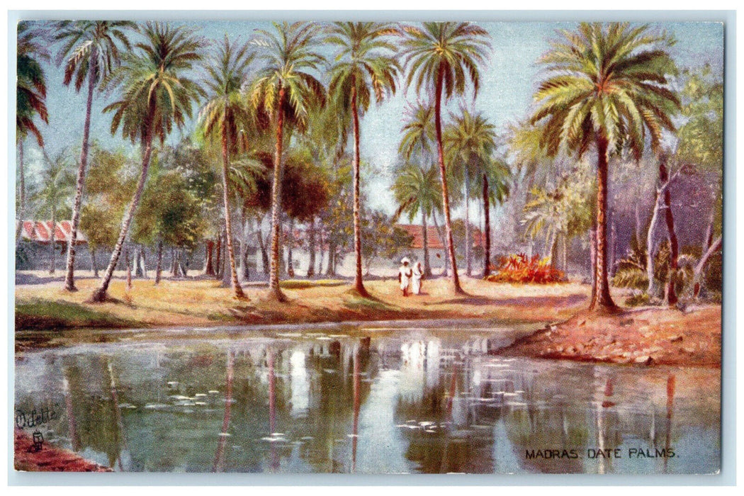 c1910 Madras Date Palms Trees Chennai India Oilette Tuck Art Postcard