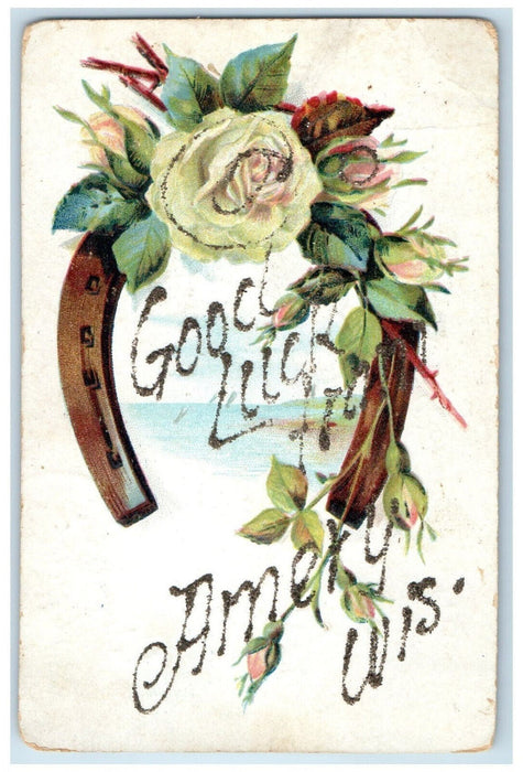 c1910 Horseshoe Flowers Good Luck Amery Wisconsin WI Glitters Embossed Postcard