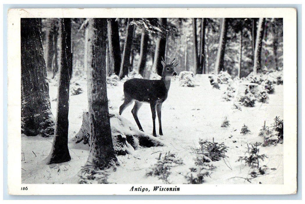 1950 Deer Animal Winter Scene Antigo Wisconsin WI Posted Vintage Postcard