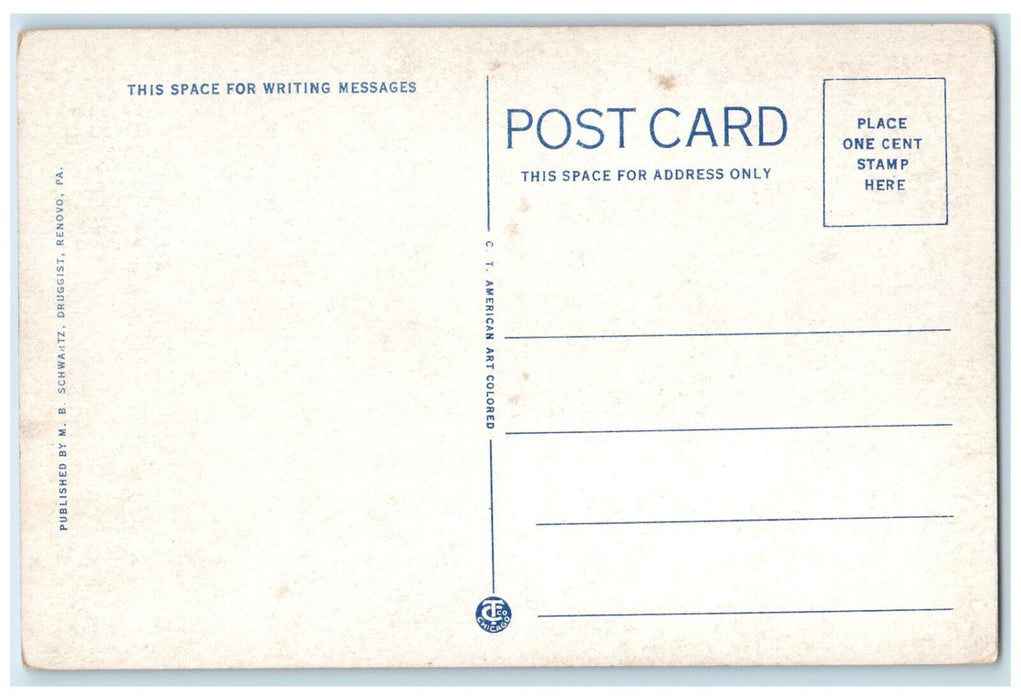 c1930's Bucktail Trail Between Lock Haven and Renovo Pennsylvania PA Postcard