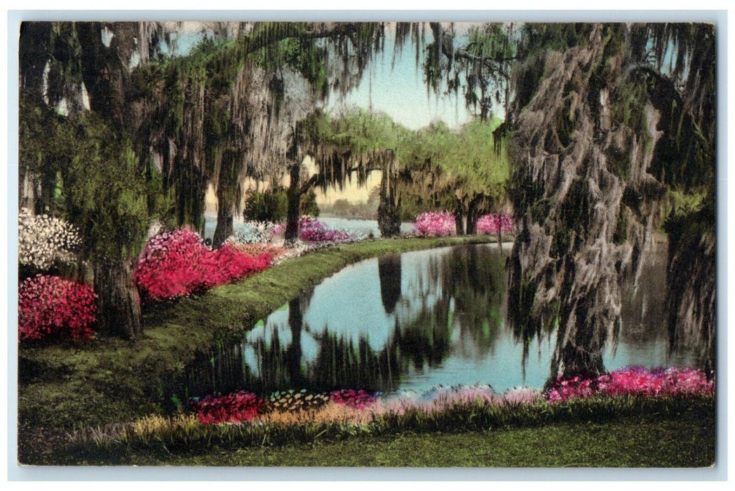 1937 Middletown Place Gardens Charleston South Carolina NC Hand-Colored Postcard