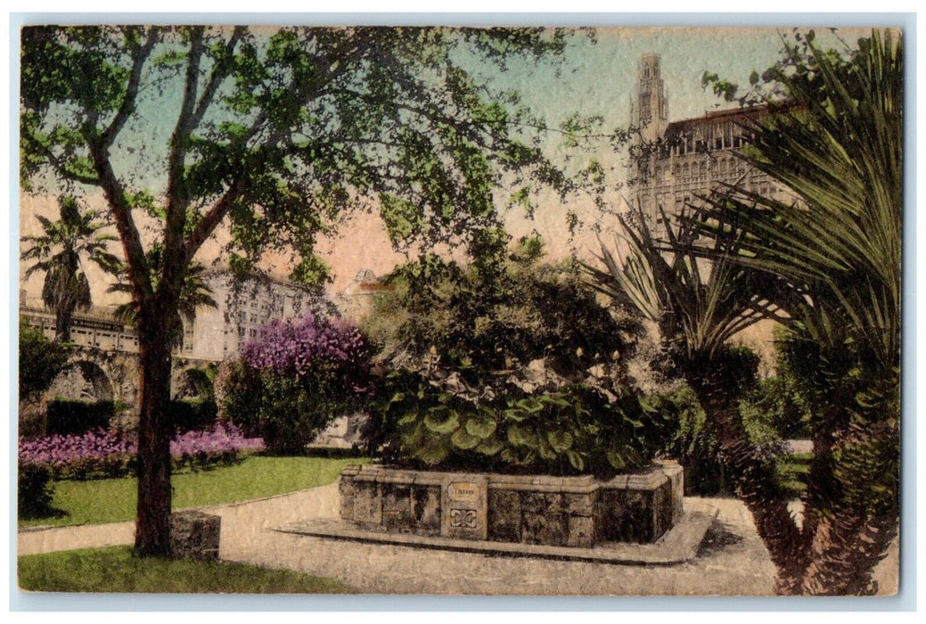 1940 Scenic View Lotus Lily Fountain San Antonio Texas TX Hand-Colored Postcard