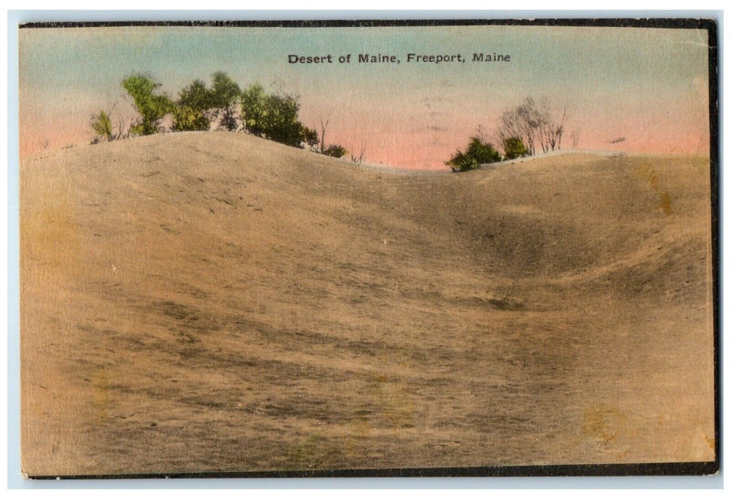 1946 Scenic View Desert Maine Trees Sand Freeport Maine ME Hand-Colored Postcard