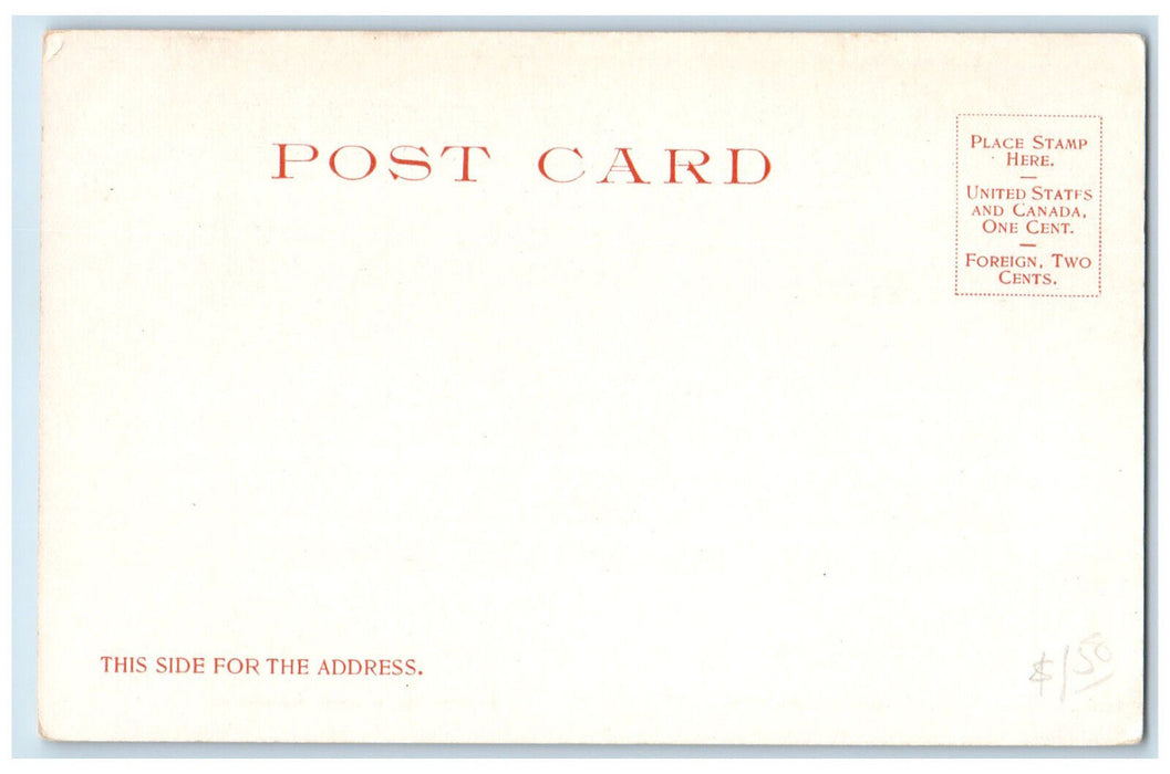 1905 Leslie Avenue Road Scene Mackinac Island Michigan MI Unposted Postcard