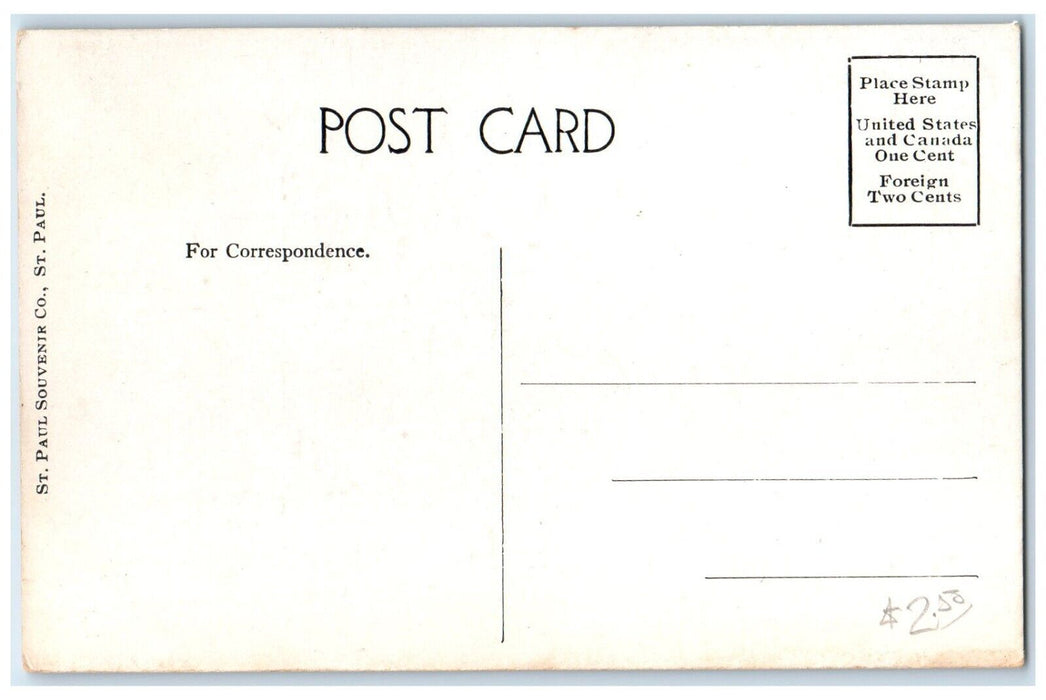 c1910's View Of The Monument Arnolds Park Iowa IA Unposted Antique Postcard