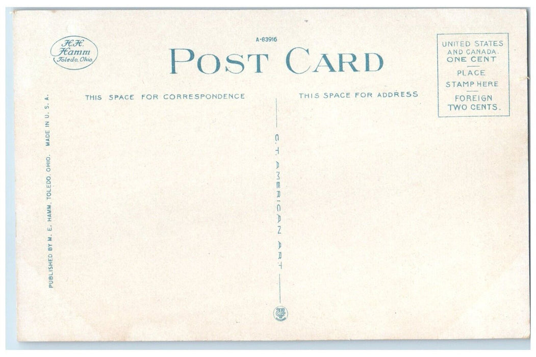 c1920 College Battle Creek Sanitarium Exterior Battle Creek Michigan MI Postcard