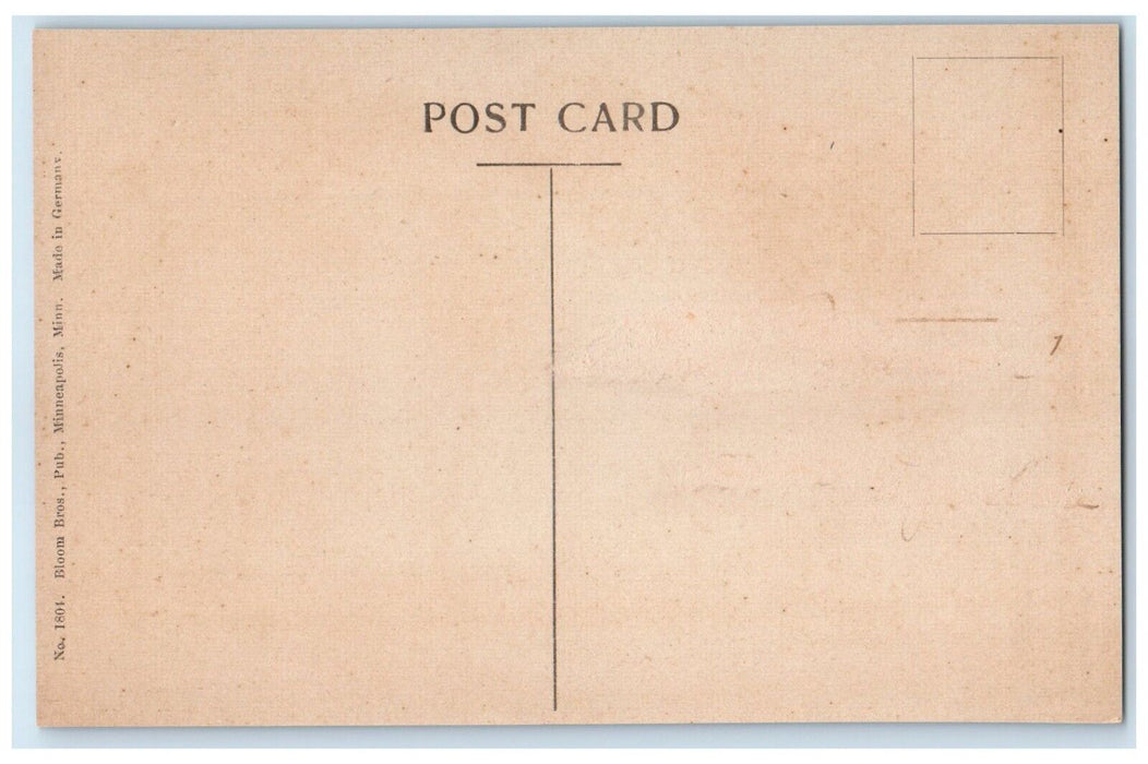 c1910's Central High School Building Campus Waseca Minnesota MN Antique Postcard