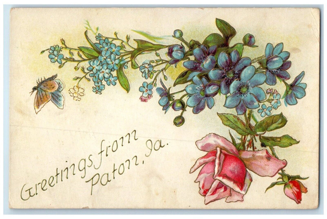 1910 Butterfly Flowers Roses Embossed Greetings From Paton Iowa Vintage Postcard