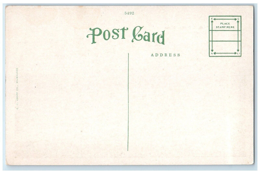 c1910's Riverside Park Steamer Ship Boats Winona Minnesota MN Antique Postcard