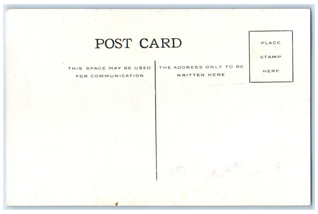 c1910 View of Rustic Walk Rush City Minnesota MN Antique Unposted Postcard