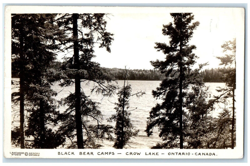 c1910's View Of Black Bear Camps Crow Lake Ontario Canada RPPC Photo Postcard
