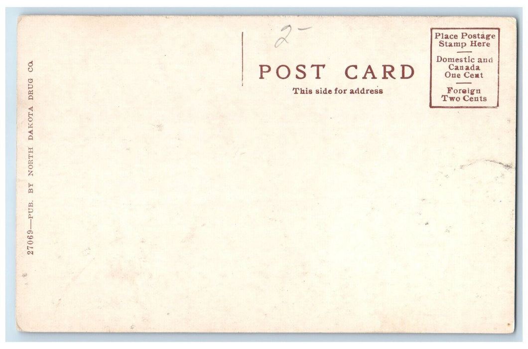 c1910 St Bernard Academy Grand Forks North Dakota ND Vintage Unposted Postcard