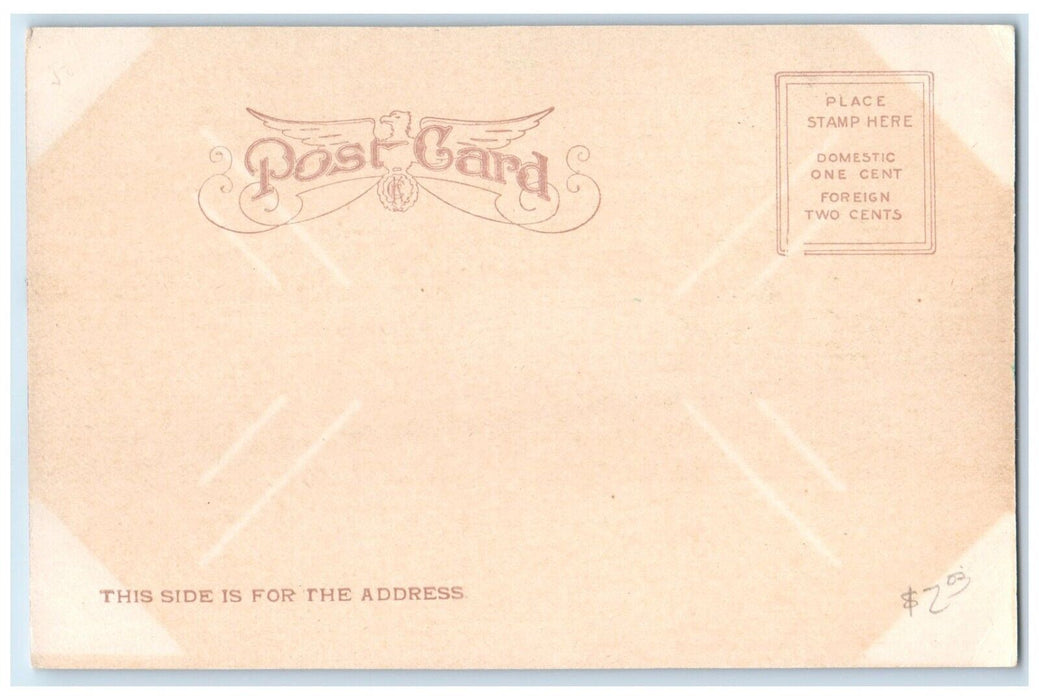 c1905 View Of County Club Grounds Sioux City Iowa IA Unposted Antique Postcard