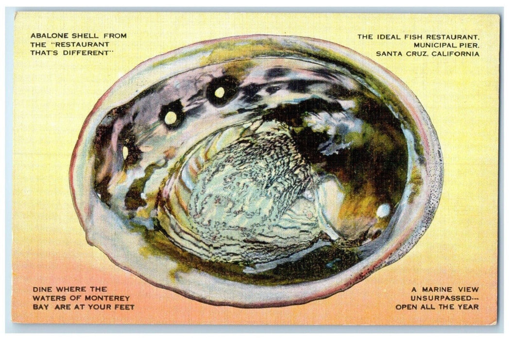 1940 Abalone Shell Ideal Fish Restaurant Santa Cruz California Unposted Postcard