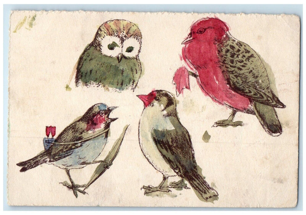 c1910's Owl And Birds Hand Painted Art Kent Washington WA Antique Postcard