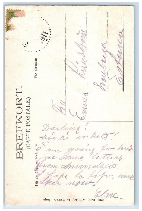 1911 Parti Fr. Selsjon Municipality of Sweden Posted Antique Postcard
