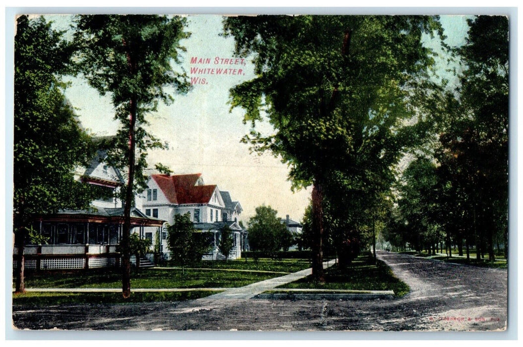 1908 Main Street Trees Road Buildings Whitewater Wisconsin WI Vintage Postcard