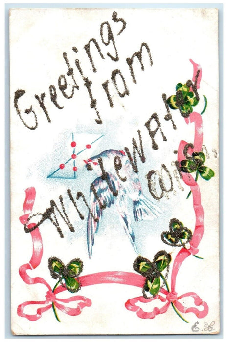 c1910 Flowers Glitter Bird Greetings From Whitewater Wisconsin Vintage Postcard