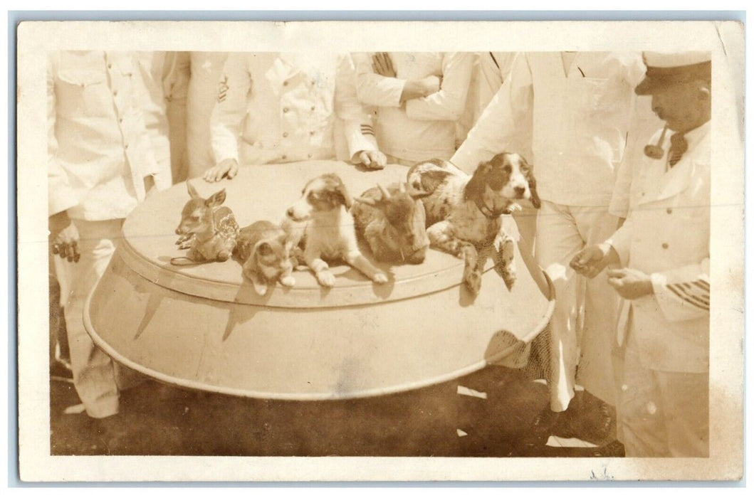 c1910's USS Navy Ship Pets Deer Cat Dog Goat Washington DC RPPC Photo Postcard