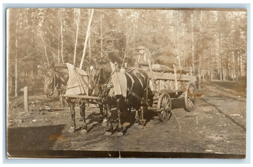 1914 Horses And Wagon Logging Hauling Lumber Minnesota MN RPPC Photo Postcard