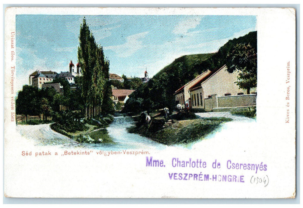 1901 Houses Buildings Near Sed Stream in Volgyben-Veszprem Hungary Postcard