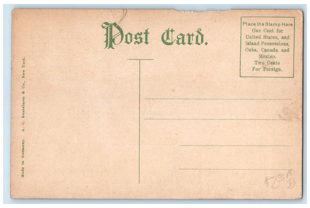 c1910's New L U R R Railroad Train Built 1906 Towanda Pennsylvania PA Postcard
