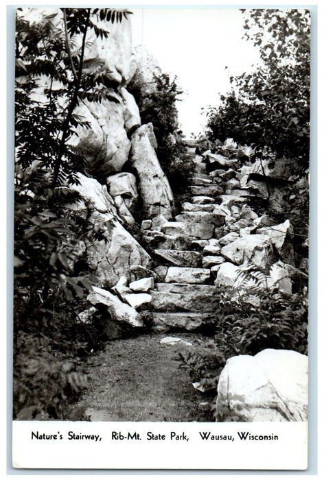 Nature's Stairway Rib Mt. State Park Wausau Wisconsin WI RPPC Photo Postcard