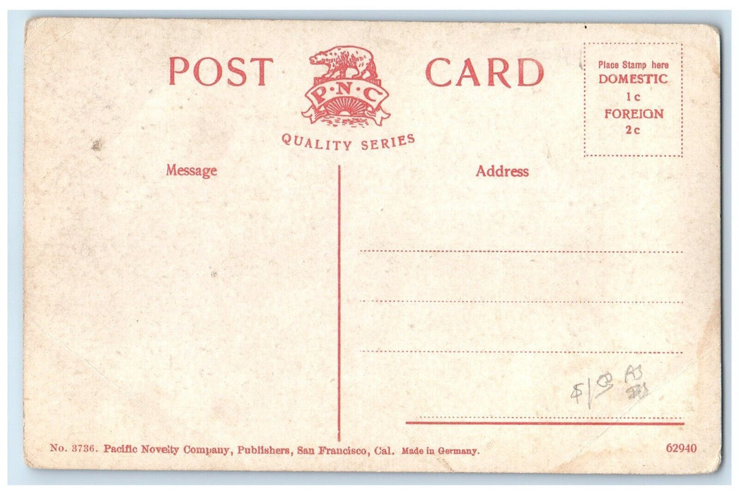 1910 Scenic View Mount Jefferson Beautiful Oregon OR Antique PNC Series Postcard
