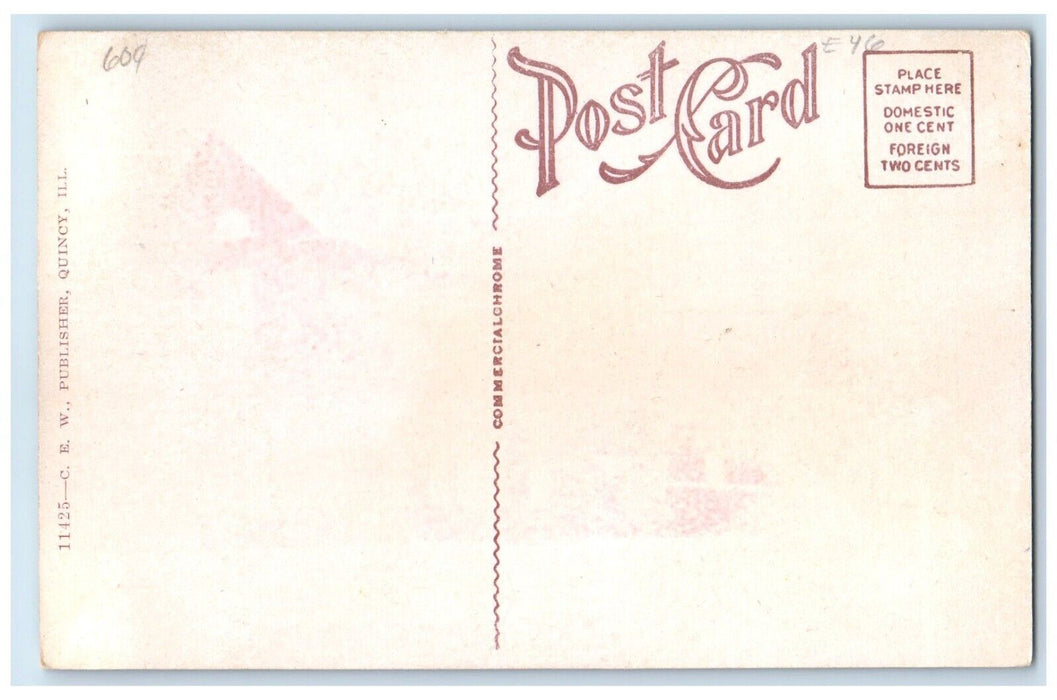1910 Birds Eye View Burlington Route Passenger Train Quincy Illinois IL Postcard