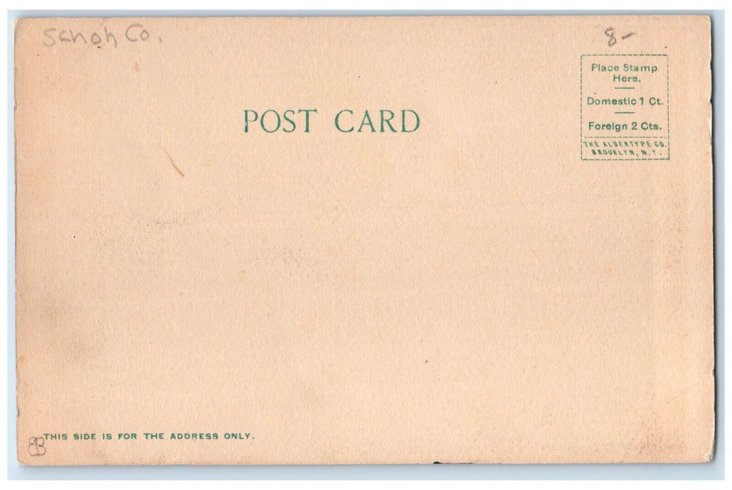 c1907 Railroad Station Depot And Commercial Hotel Cobleskill NY Antique Postcard