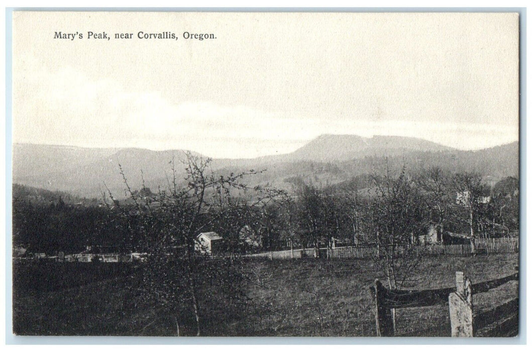 c1910's Bird's Eye View Of Mary's Peak Near Corvallis Oregon OR Antique Postcard