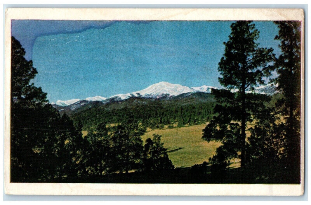 c1930's View Of Sierra Blanca Peak Lincoln County New Mexico NM Vintage Postcard